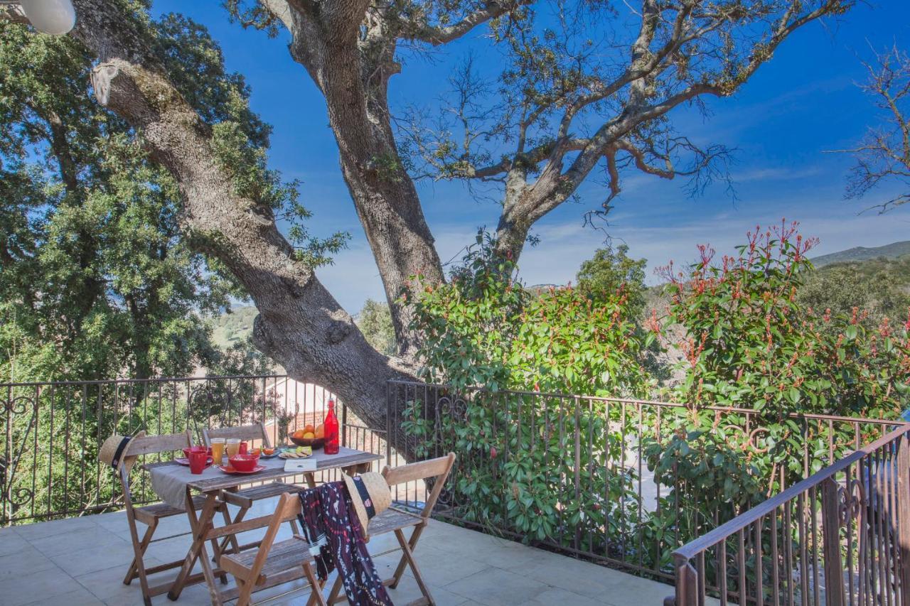 Domaine Ghjulia Apartment Patrimonio Bagian luar foto