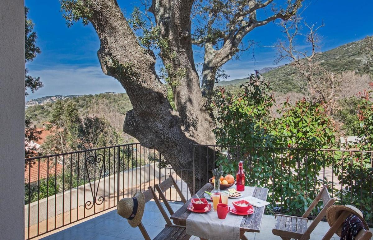 Domaine Ghjulia Apartment Patrimonio Bagian luar foto