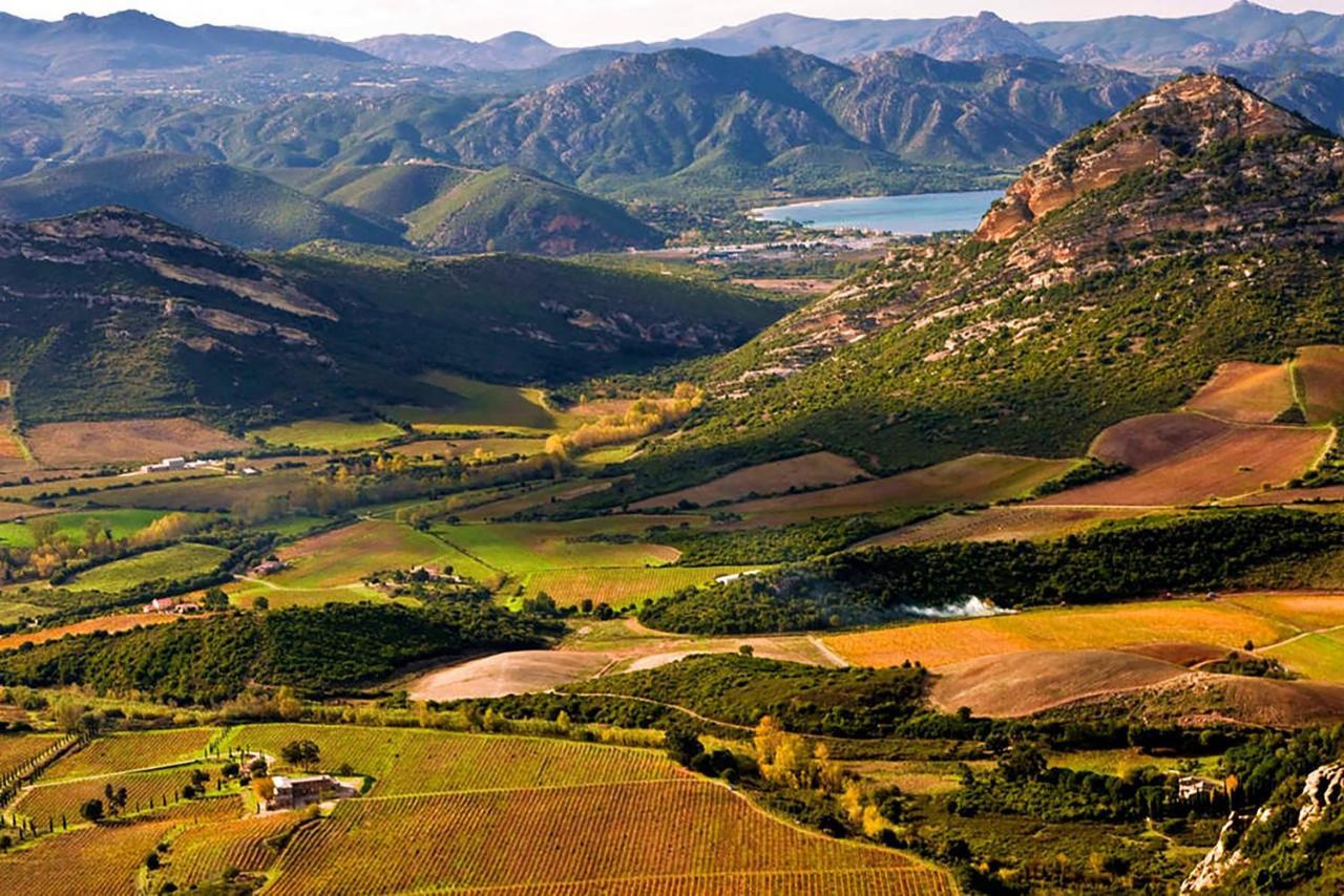 Domaine Ghjulia Apartment Patrimonio Bagian luar foto